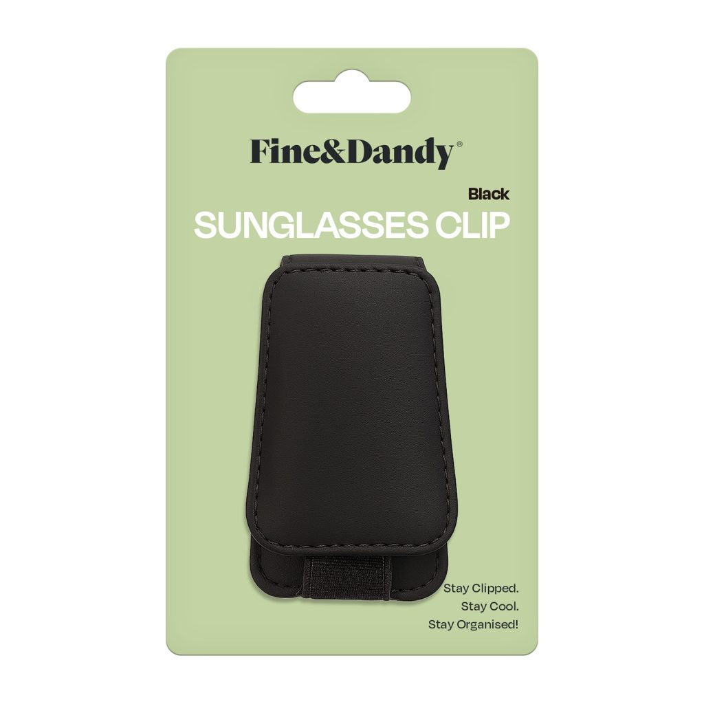 Sunglasses Clip